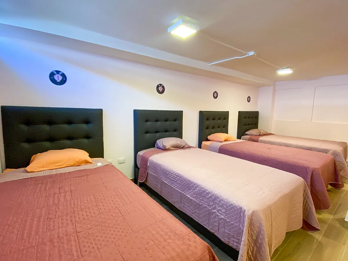 Single beds with peach and pink covers lined up under the ceiling lights